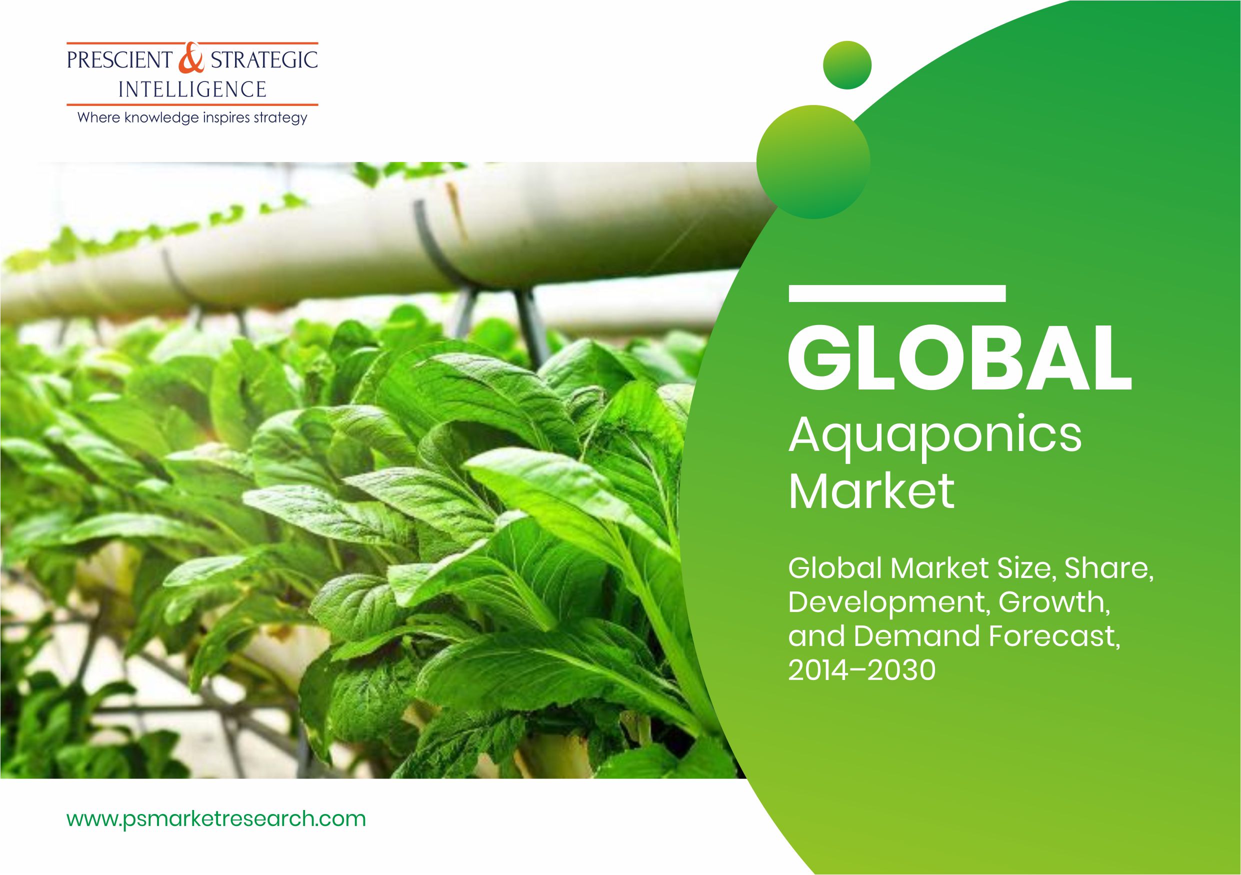 Due to the depleting phosphorous and freshwater reserves and increasing requirement of sustainable food production methods, the popularity of aquaponi